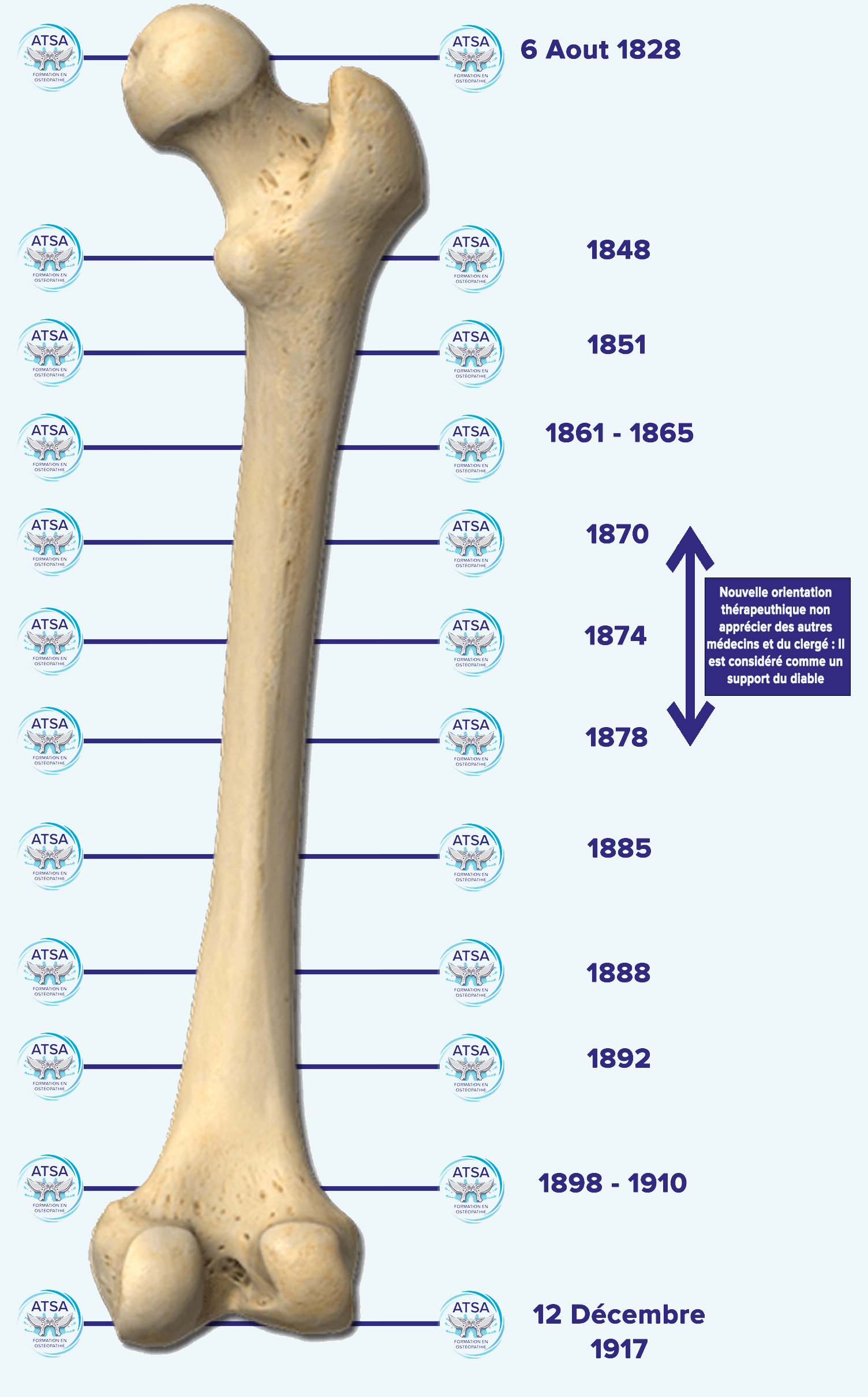 frise chronologique a.taylor still